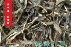 定君春茶叶多少钱一盒