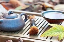 提高茶叶品质的途径