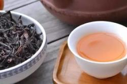 广东茶叶基地