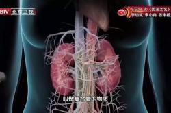 茶喝多了伤肾吗