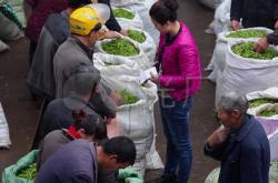 付家村茶叶批发市场在哪里