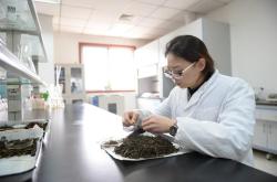 湖南省茶叶研究所
