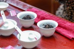 福建省内著名的茶叶产品