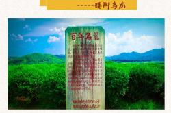 大盏宏图茶叶