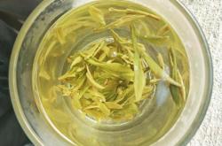 用茶叶做定妆水怎么做