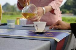 茶叶手工制作传承图片