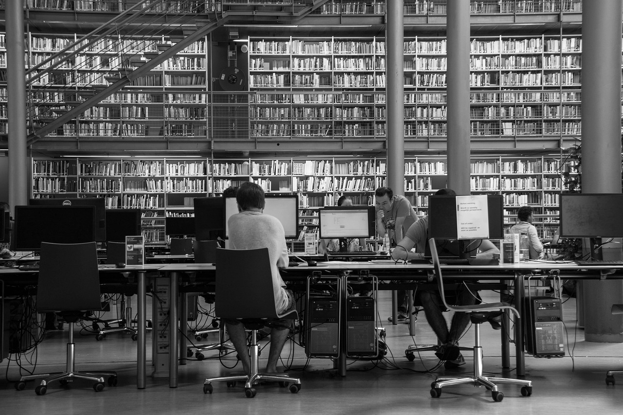 探索上海大学，教育的灯塔与学术的殿堂