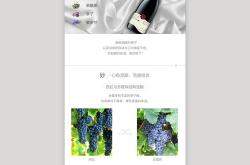 红酒世界买卖