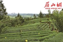 洪雅县茗清源茶叶公司