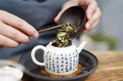 如何选择好茶叶品种