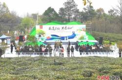 南京浦口喝茶的地方