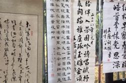 播放茶叶的诗句有什么
