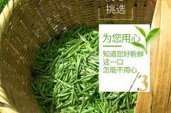 信阳茶叶等级价格