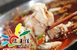 眉山美蛙鱼头