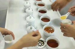 茶叶审评指的是什么