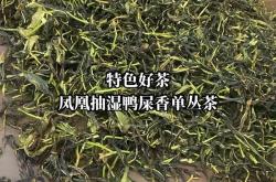 鸭屎香的茶水比例