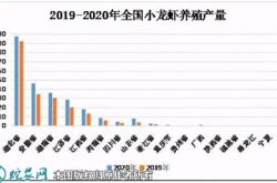 小龙虾市场营销