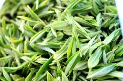 都匀的茶是什么茶