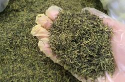 杜仲茶叶泡水喝有什么功效