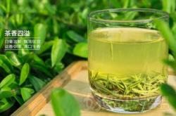 龙井茶是浙江哪个地方产的