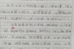 茶叶的介绍作文
