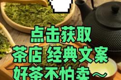 除了茶叶还有什么泡水好喝