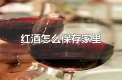 红酒放冷冻室冻多久合适