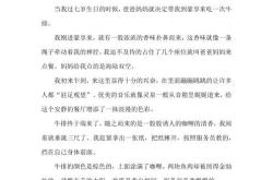 我最喜爱的美食作文450字