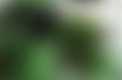 1.色彩选择：