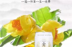 泊萧叶科技沈阳有限公司