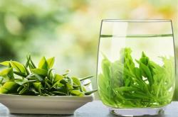 茶叶中的氨多酚