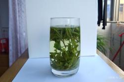 茅山茶叶青峰：中国独特的名茶