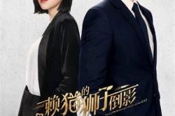 赖猫的狮子倒影朱亚文真实身份