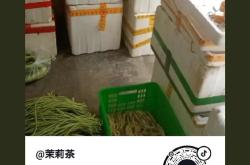常见的茶叶保鲜技术