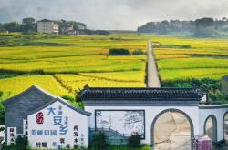 泰顺茶庄