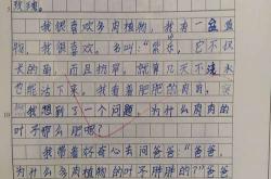 观察茶叶日记300字