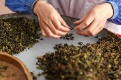 日本茶话