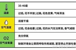 茶叶花香物质的溶解温度