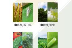 1.检查茶叶