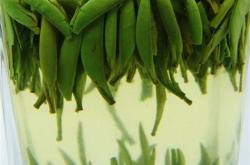见山茶叶档次怎么样