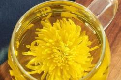 菊花茶可以冬季喝吗