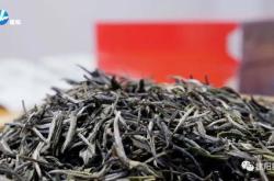 徐汇区常见茶叶价格指南
