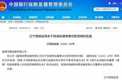 女子因辞职让婆婆不满,门换锁被赶出家,两岁多孩子跟着露宿街头