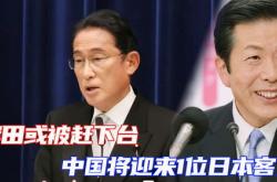 吴士存会见日本893研究会客人