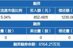星宸科技年度分红政策解析每股派息与除权除息日的影响