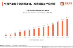 数字经济多元化发展趋势解析