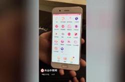 农业保险赔付额激增保障农民利益与促进农业可持续发展的新动力