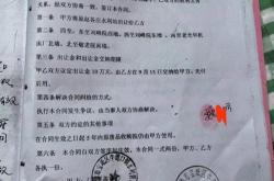 揭秘养老金诈骗产业链最高检的严惩立场与社会治理挑战