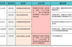 字节跳动在美国法律战场上的抗争挑战“不卖就禁”法案的深层影响