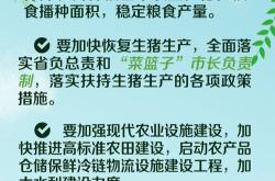 图文并茂对C语言基础复习进行详细总结,让各种知识点一目了然